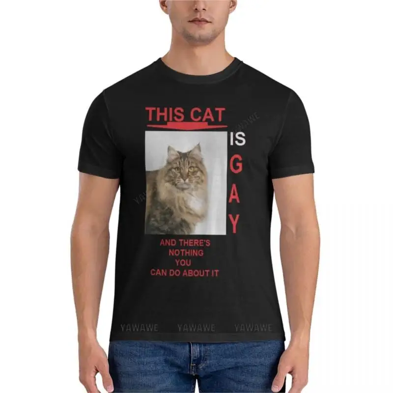 этот кот гей, и ты ничего не можешь с этим поделать. Классическая футболка, мужские винтажные футболки, футболка с аниме нового выпуска.